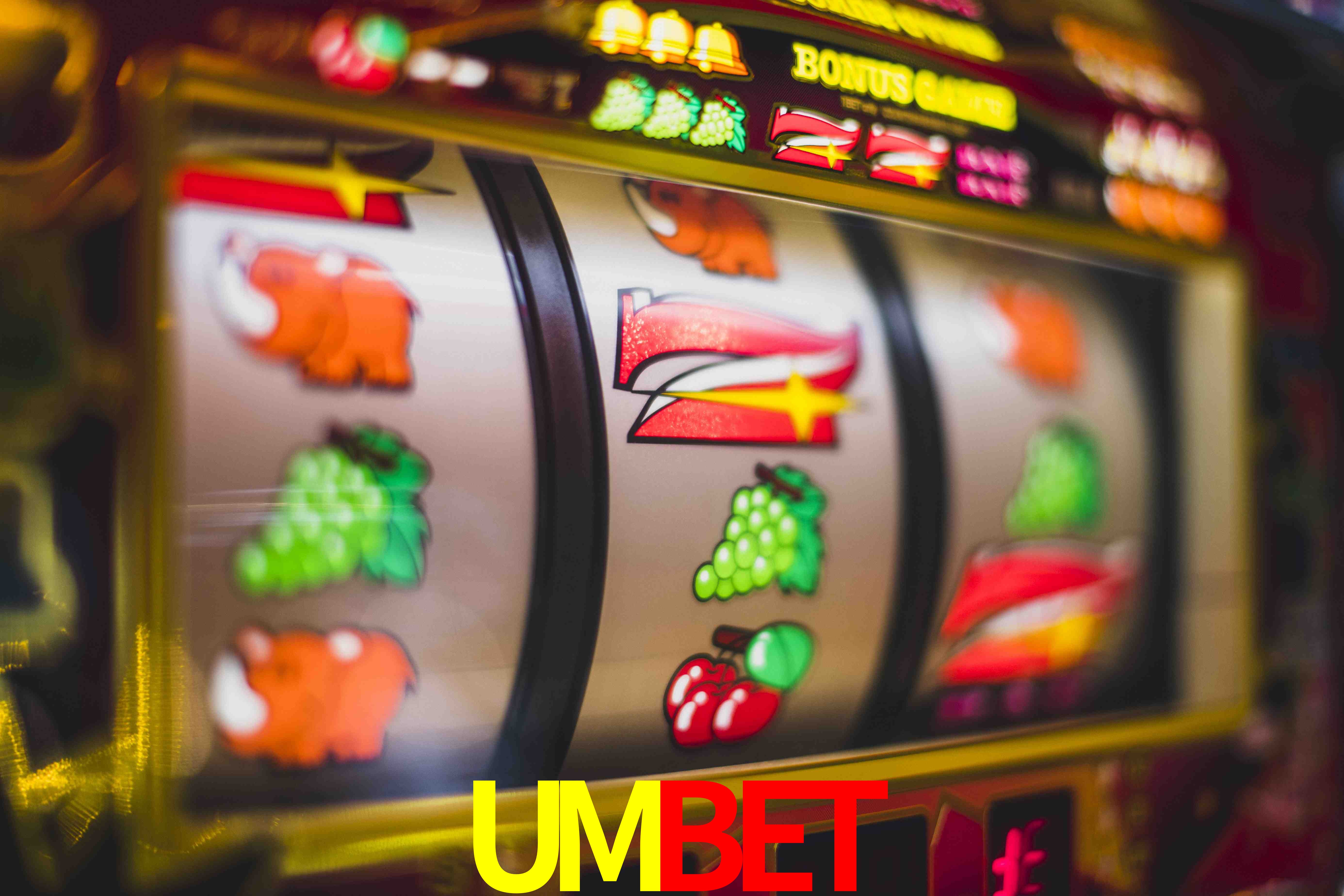 Experiência VIP UMBET